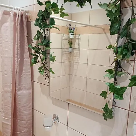 アパート Roses 2 *