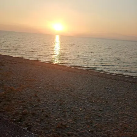 Roses 2 スカラ・ソティロス