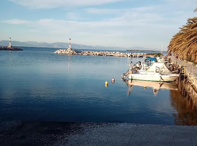 Roses 2 Daire Skala Sotiros