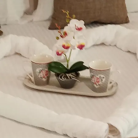Roses 2 *